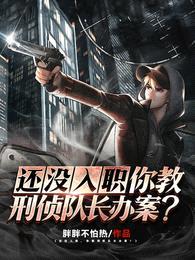 还没入职,你教刑侦队长办案?