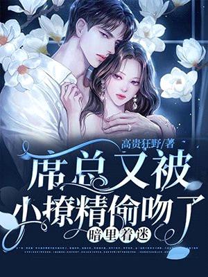 暗里着迷:席总又被小撩精偷吻了