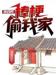 四合院:棒梗偷我家