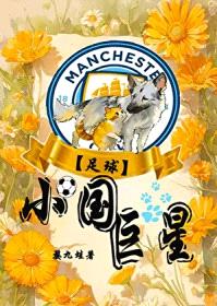 [足球] 小国巨星
