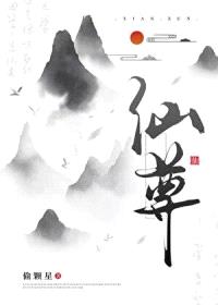 仙尊你好能装啊