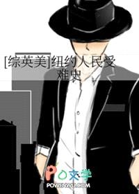 [综英美] 纽约人民受难史