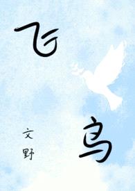 【文豪野犬】飞鸟