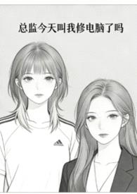 总监今天叫我修电脑了吗