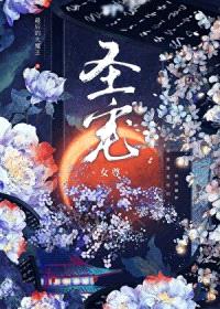圣宠(女尊)