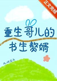重生哥儿的书生赘婿