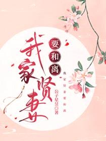 我家爱妻要和离