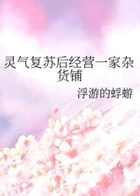灵气复苏后经营一家杂货铺