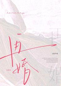 再婚abo
