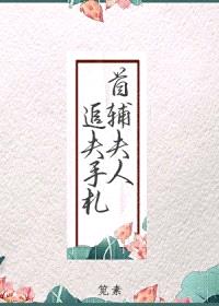 首辅夫人追夫手札
