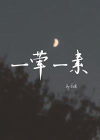 一荤一素