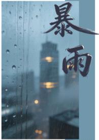 暴雨(1v1)