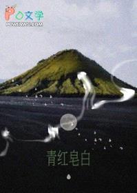 青红皂白