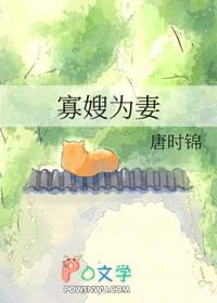 寡嫂为妻