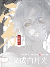 穿成黑月光,又成白月光
