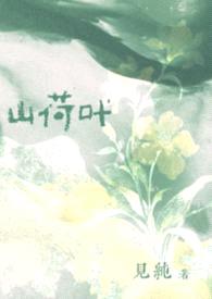 山荷叶(豪门公媳)