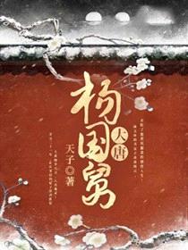大唐杨国舅