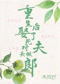 重生后娶了死对头做夫郎