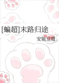 [蝙超同人] 末路归途