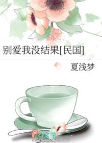 别爱我没结果[民国]