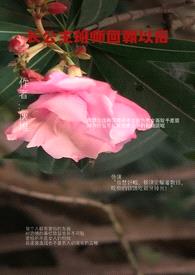 长公主班师回朝以后(女宠男)