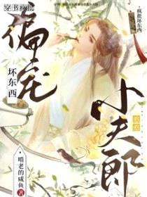 穿书:疯批坏东西偏宠憨憨小夫郎