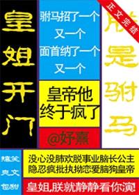 皇姐开门,朕是驸马