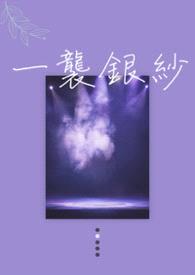 一袭银纱